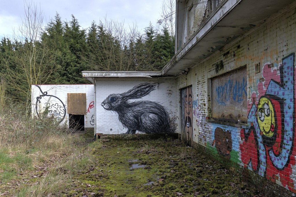 graffiti doel belgie roa hdr urbex art kunst kunstwerk mural murals